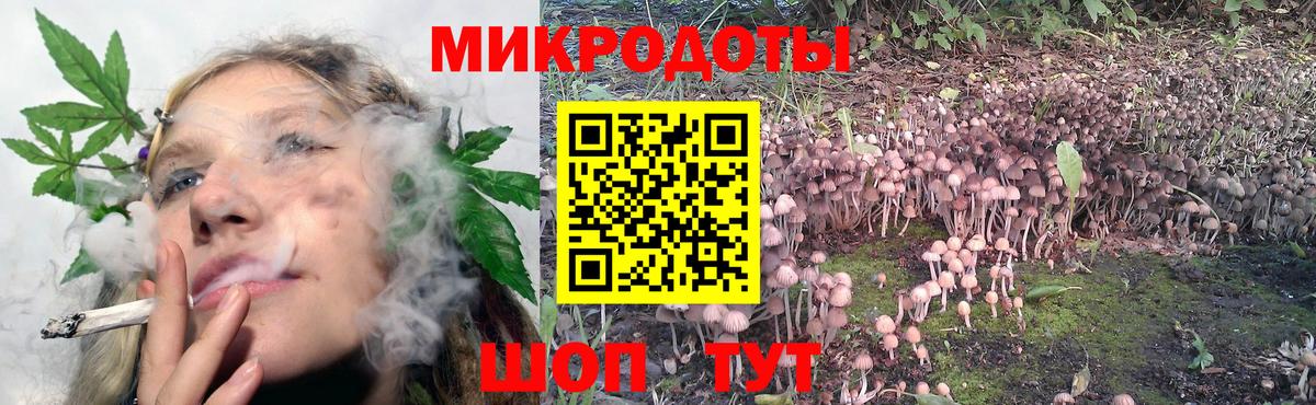 Псилоцибиновые грибы Psilocybine cubensis  Вход с VPN  дарнет шоп  Нальчик 