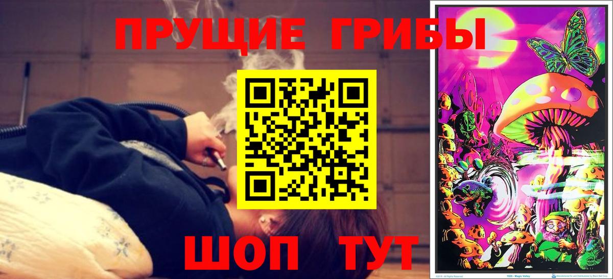 Галлюциногенные грибы Magic Shrooms Нальчик